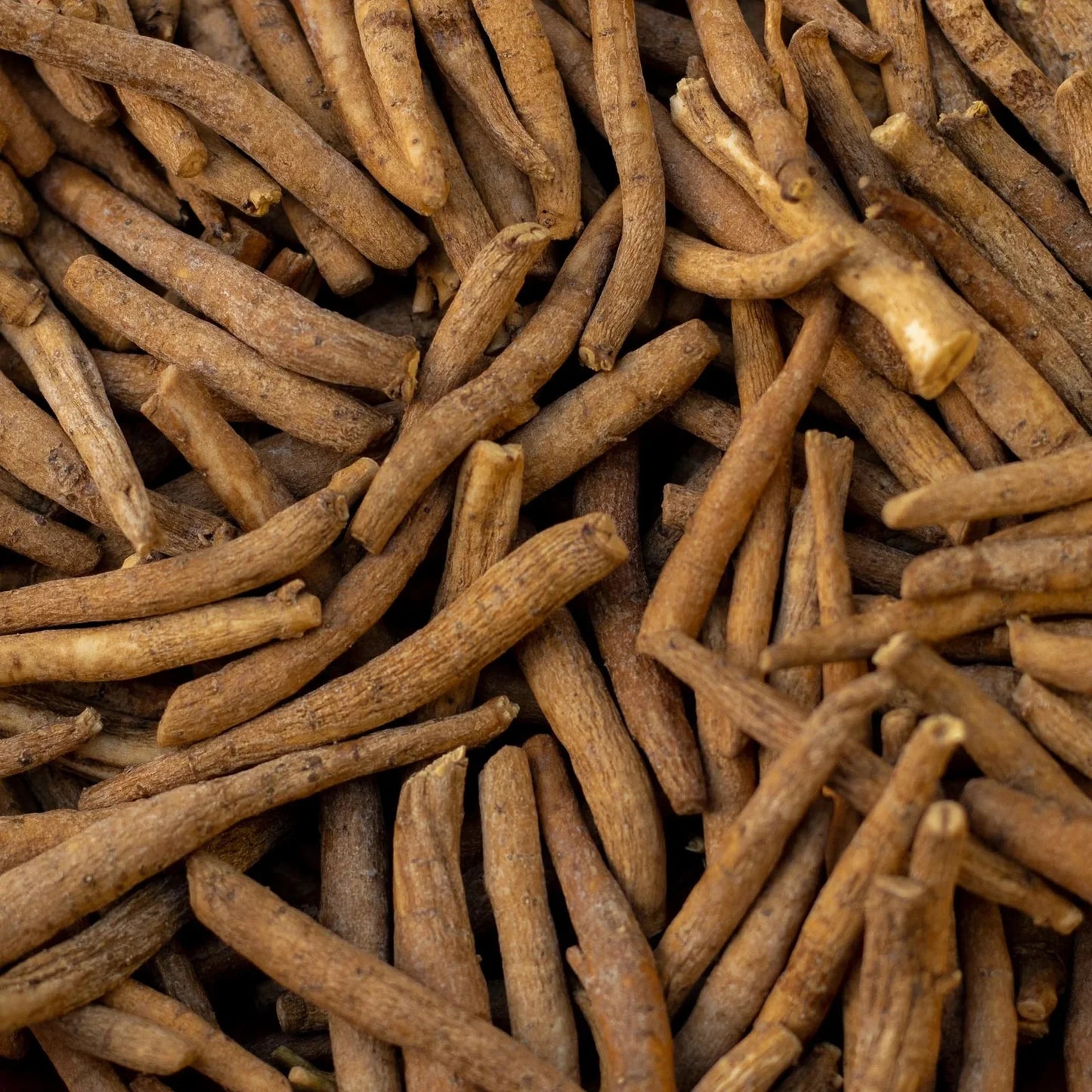 Ingredients Name: Ashwagandha water Soluble Extract