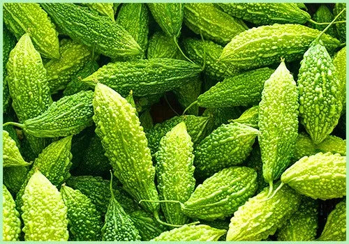 Ingredients Name: Karela