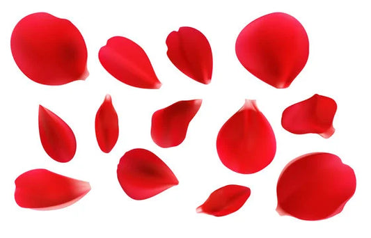 Ingredients Name: Rose Petal