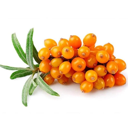 Ingredients Name: Seabuckthorn