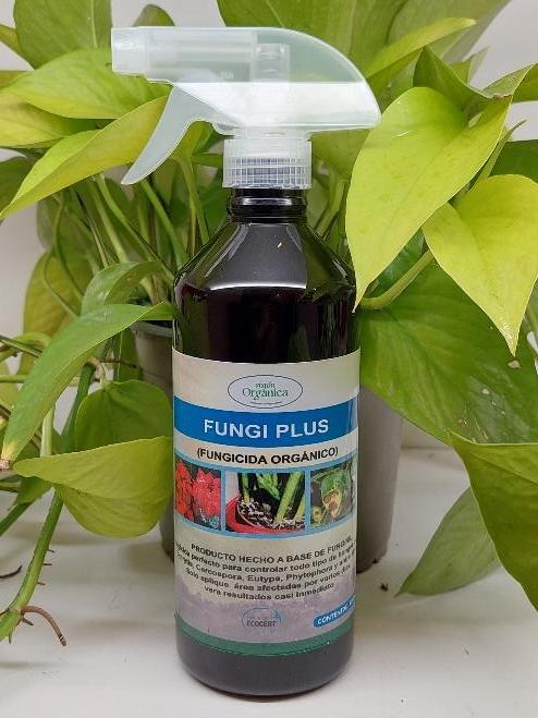 Fungi Plus